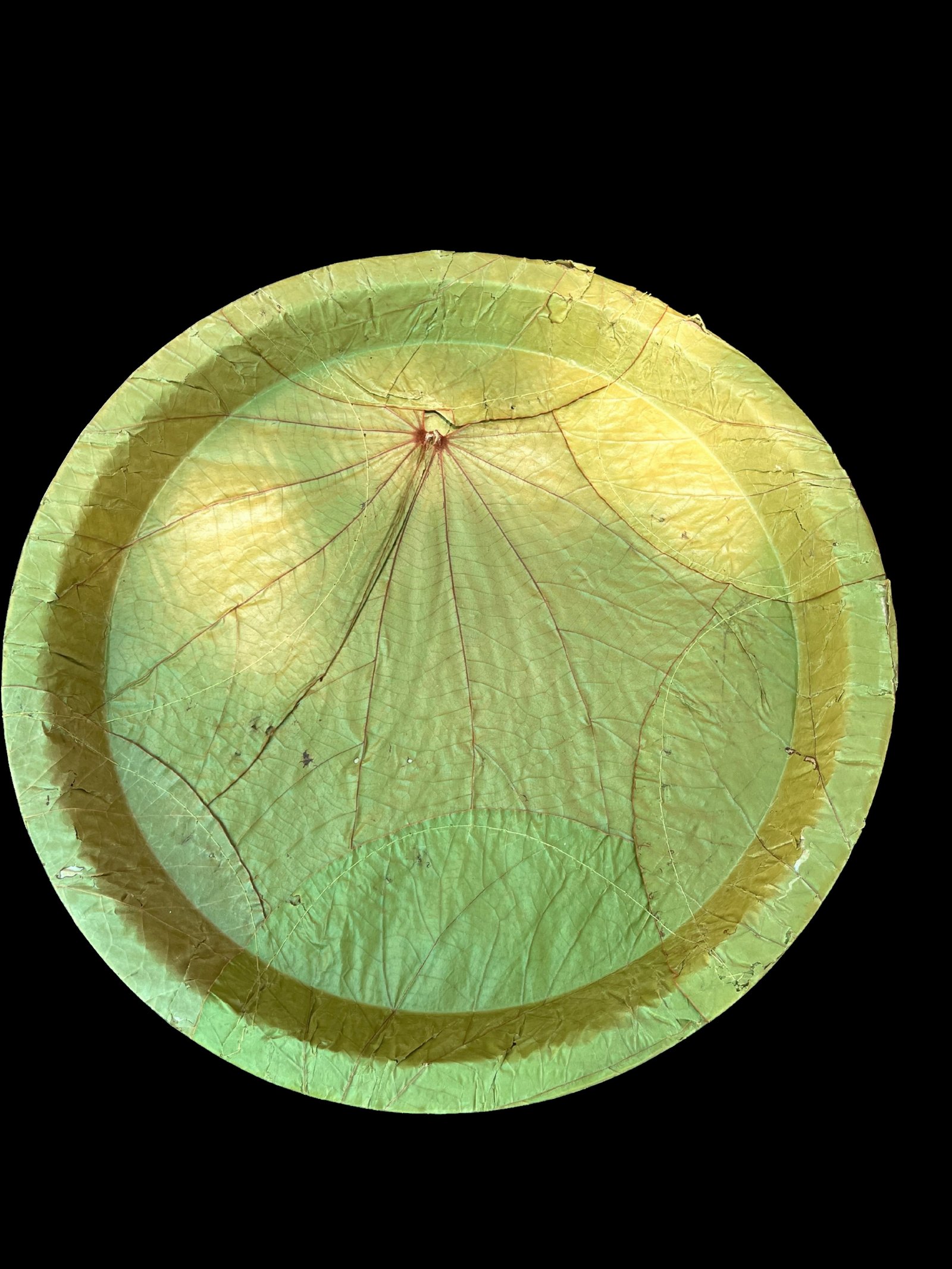 12" Round Stitched - Vistaraku / SAL leaf Buffet Plate (Pack of 20)