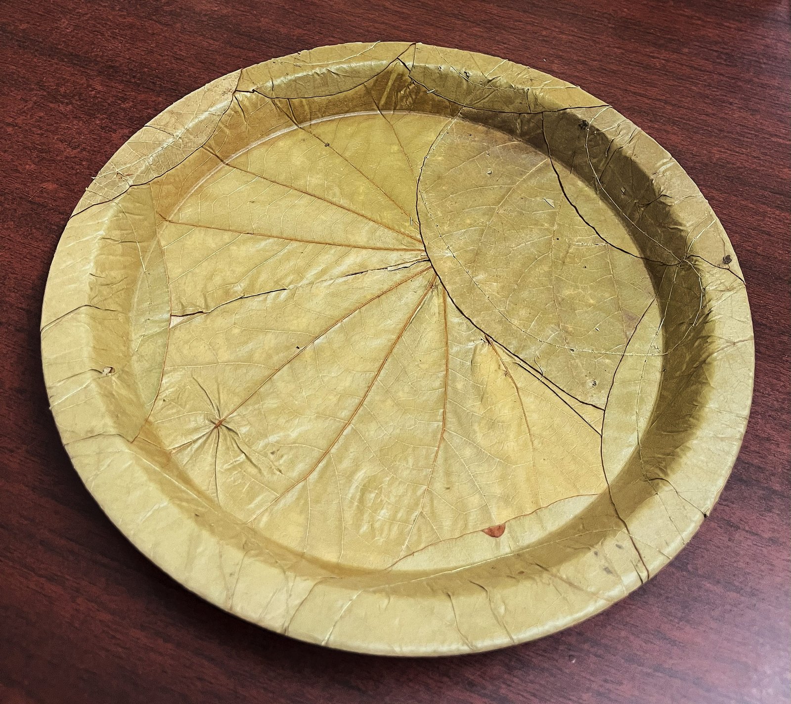 10" Round - Vistaraku / SAL Leaf Plate (Pack of 20)